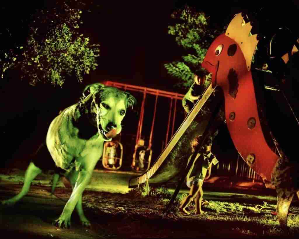 On July 17, 2019, Schenck revealed on his Instagram account an alternate album cover featuring a three-legged dog and children playing in a playground.