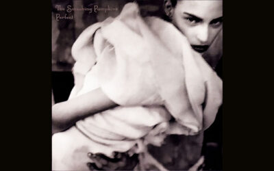 THE SMASHING PUMPKINS: PERFECT Single Album (1994)