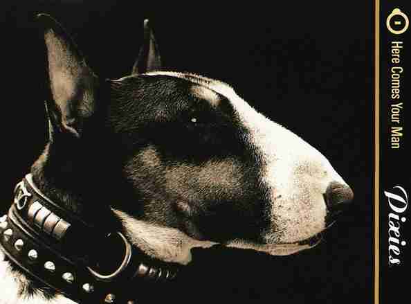 PIXIES: HERE COMES YOUR MAN Single Album (1989)